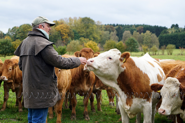 Landwirte informierten sich ber Low-Stress-Stockmanship