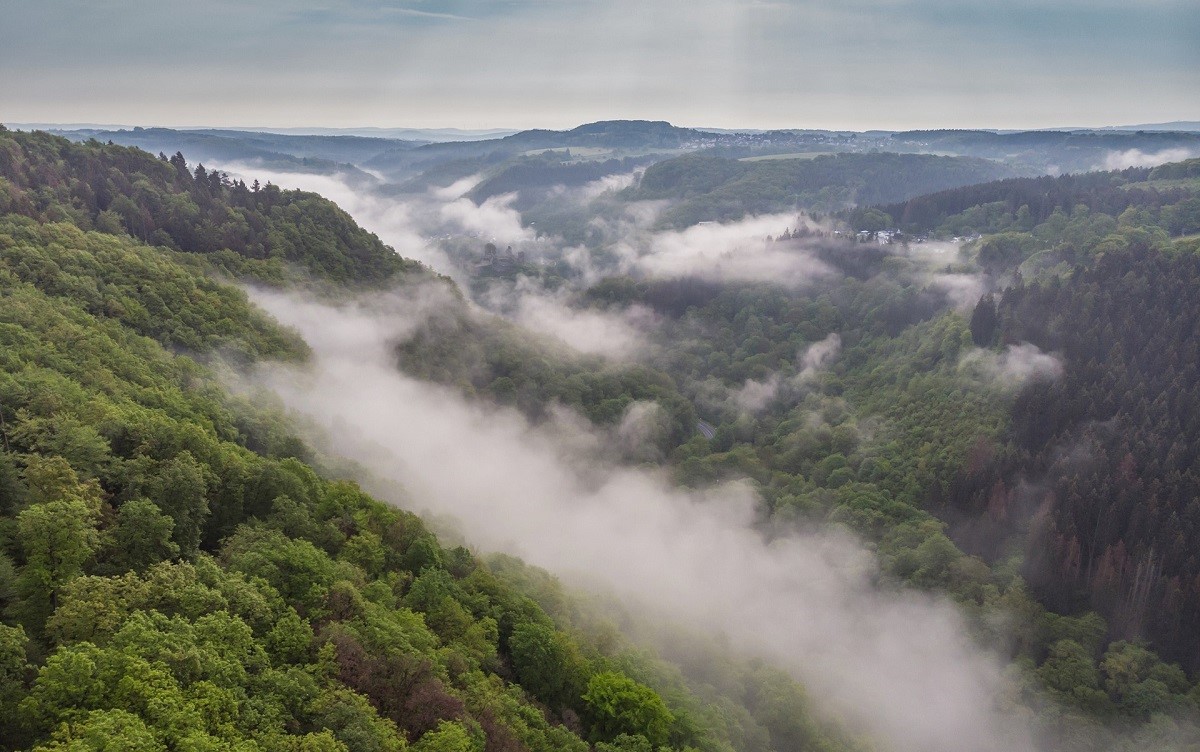 Nebelstimmung an der Iserbachschleife. (Foto: Andreas Pacek - Touristik Verband Wiedtal)