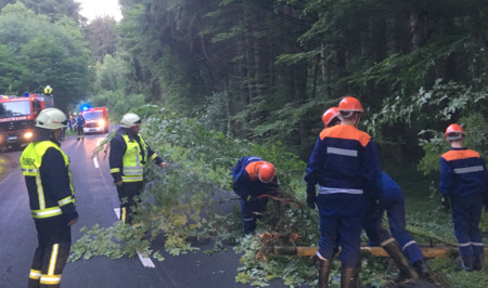 Die Jugendfeuerwehr hatte eine Reihe von Einsatzszenarien abzuarbeiten. (Foto: Jugendfeuerwehr Oberlahr) 