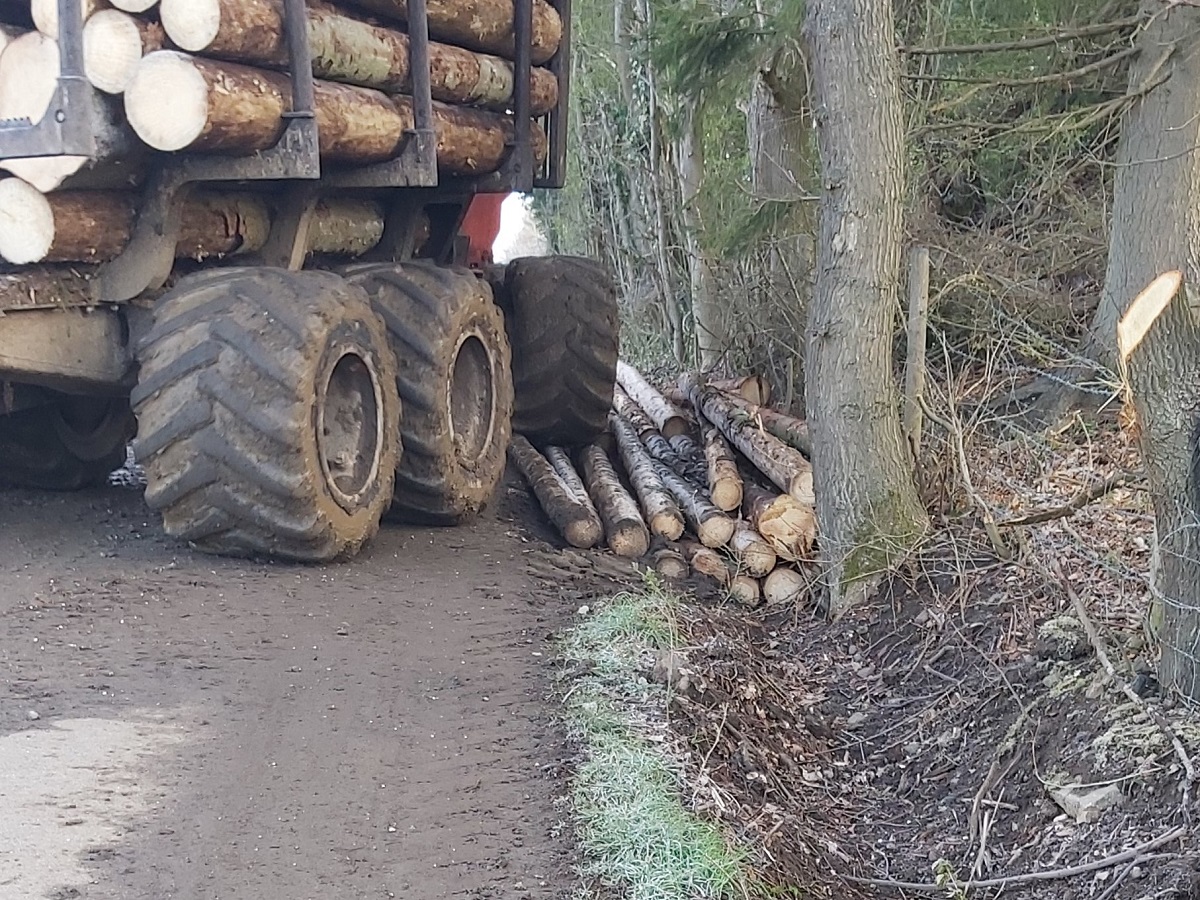 Ein Holztransporter fhrt durch einen Entwsserungsgraben. Um sich dort nicht festzufahren, wurden Holzstmme in den Graben gelegt. (Fotoquelle: Roland Lorenz)