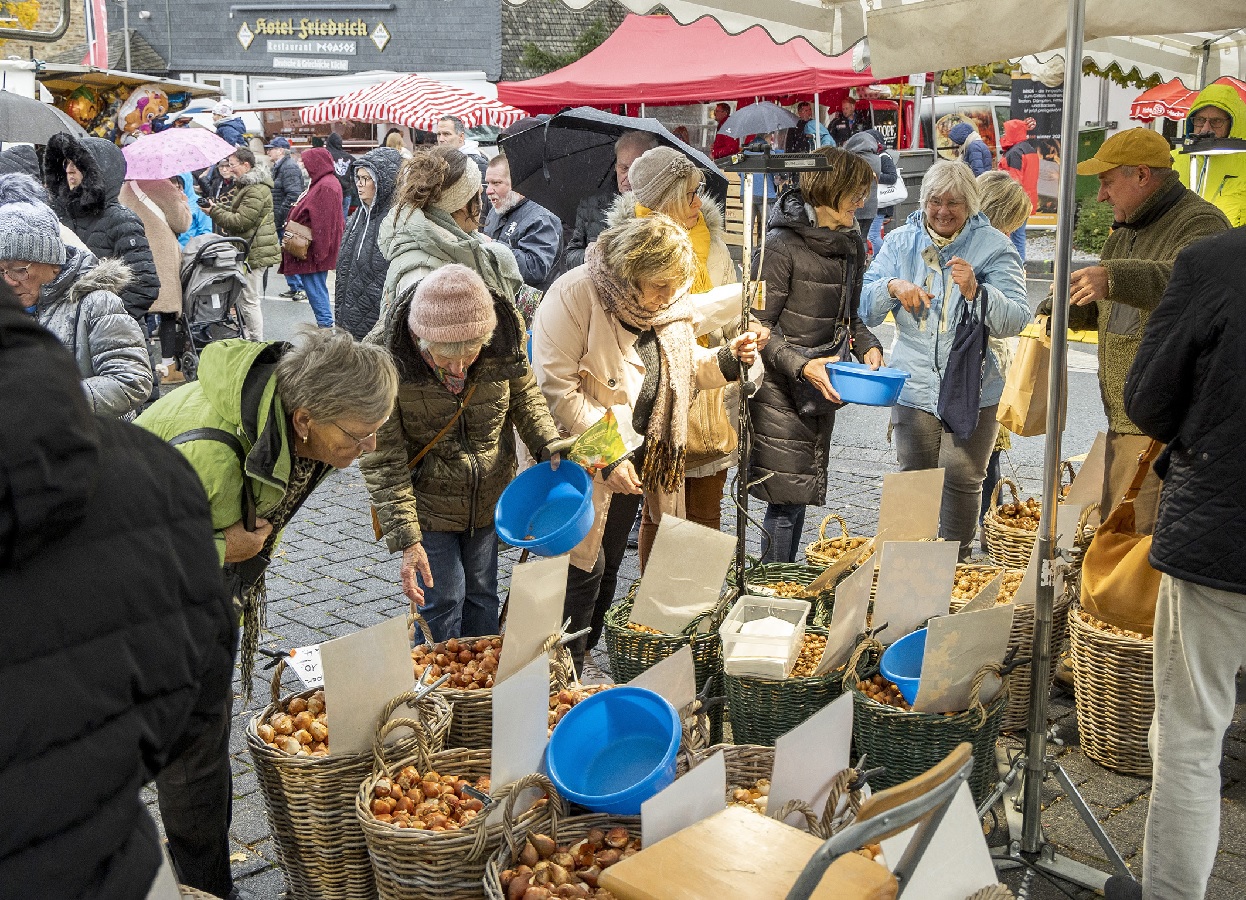 Hachenburger Katharinenmarkt im SWR Fernsehen