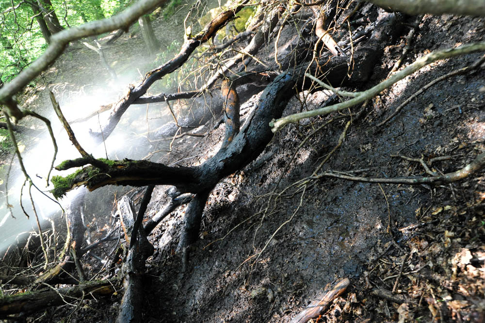 Erst vor wenigen Tagen hatte in der Nhe der Ortslage Katzenthal der Wald gebrannt. (Fotos: kk)