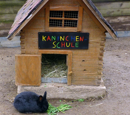 Osterei-Suche im Zoo Neuwied