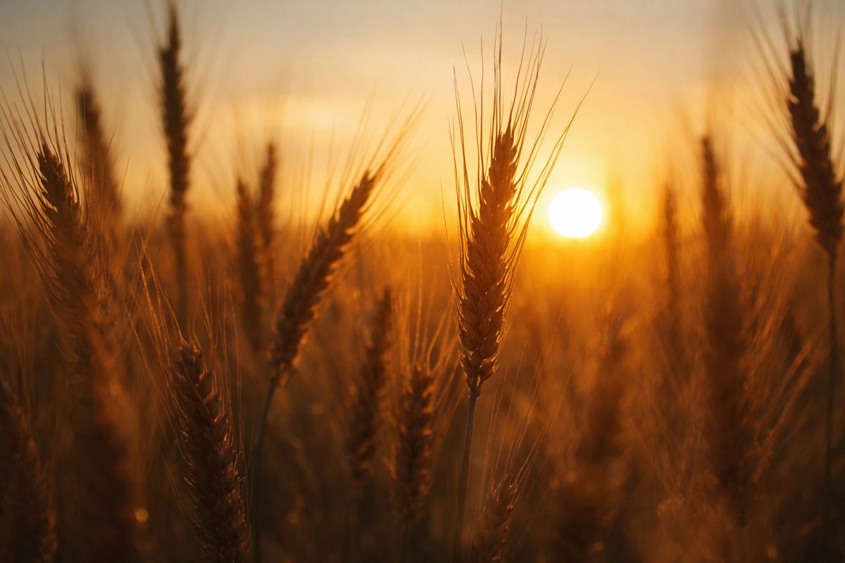 Symbolbild. (KI-generiert)