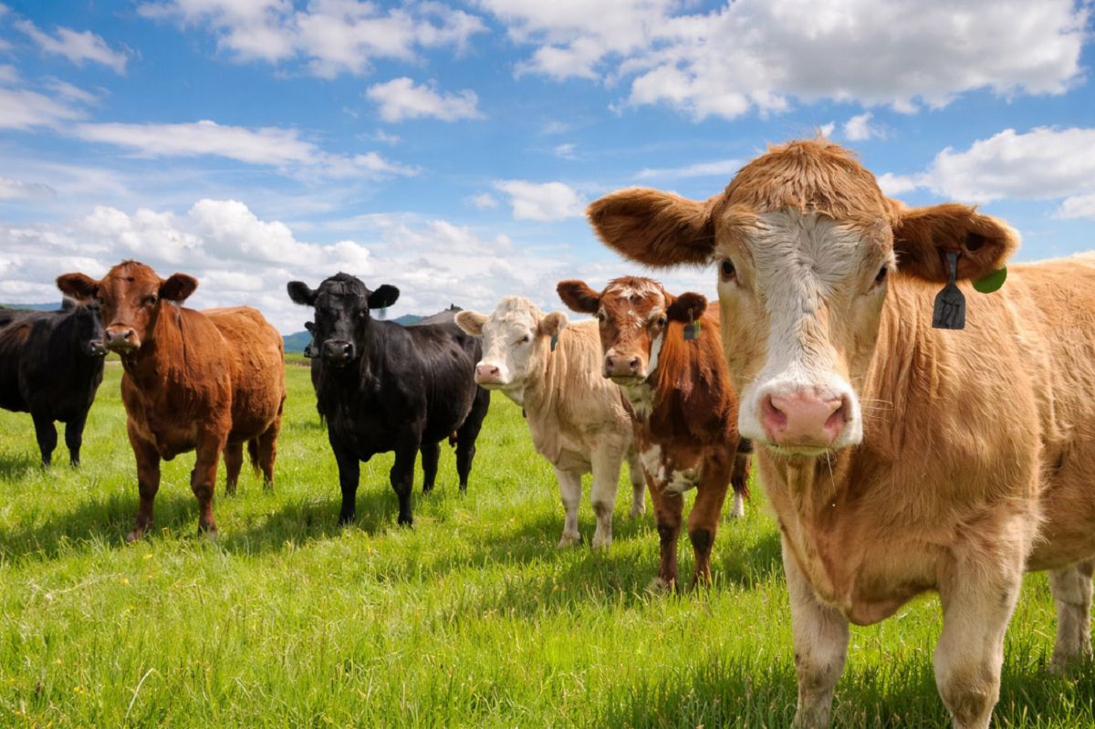 Symbolbild. (KI-generiert)