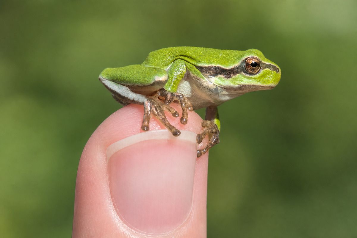 Naturschutz erleben: Vortrag zeigt Wege vom Wissen zum Handeln