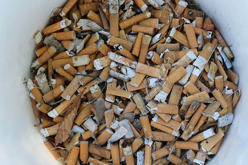 Einen ganzen Eimer voller Zigarettenkippen sammelten die Pfadfinder im Ortskern rund um die Kirche und den Dorfplatz. Fotos: Pfadfinder
