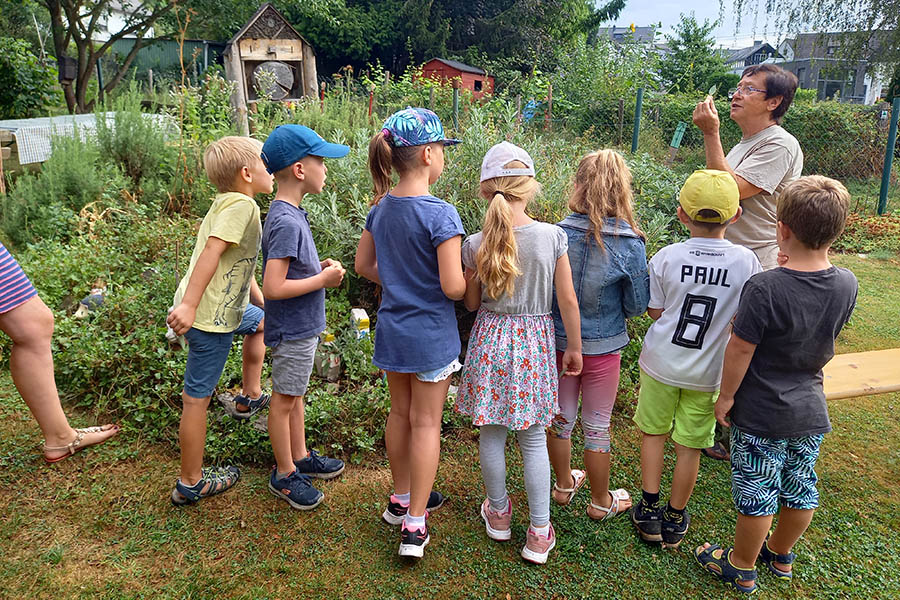 Ein Highlight war der Besuch des Kinderkrutergartens bei Ingrid Runkel. Fotos: privat