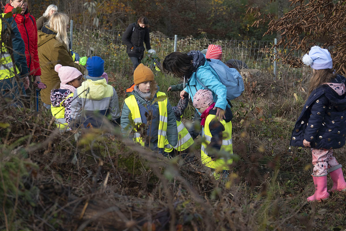 Kinder der Kindergrten Puderbach helfen bei der Aufforstung des Waldes