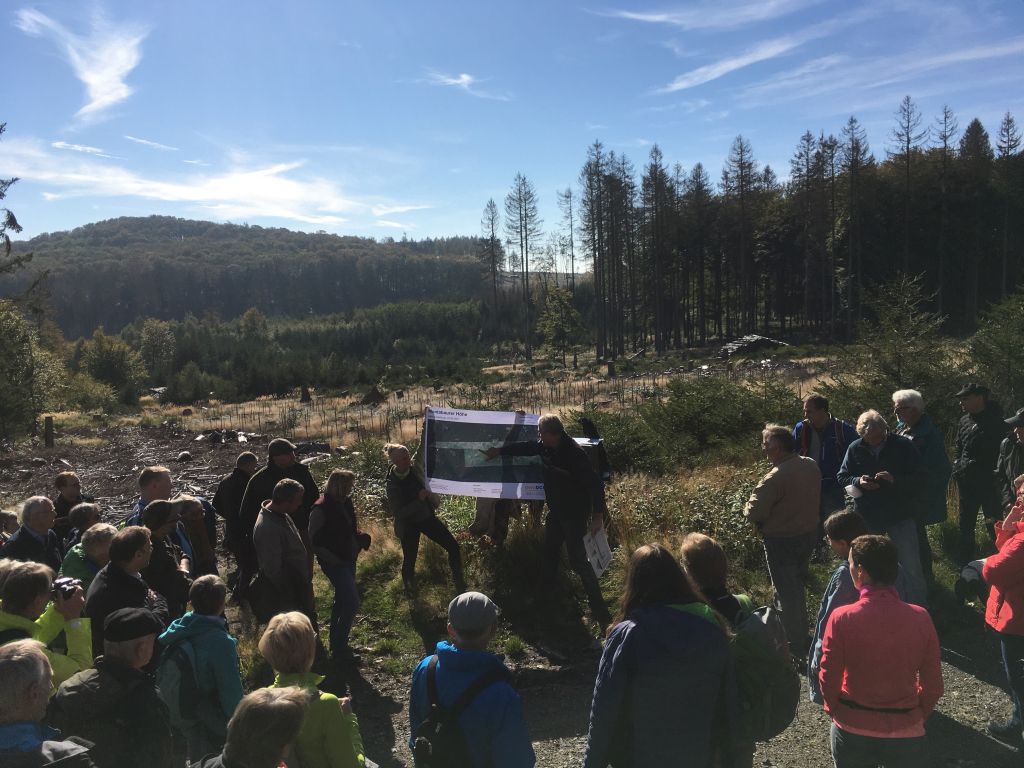 Den Wald erhalten durch klimagerechten Umbau