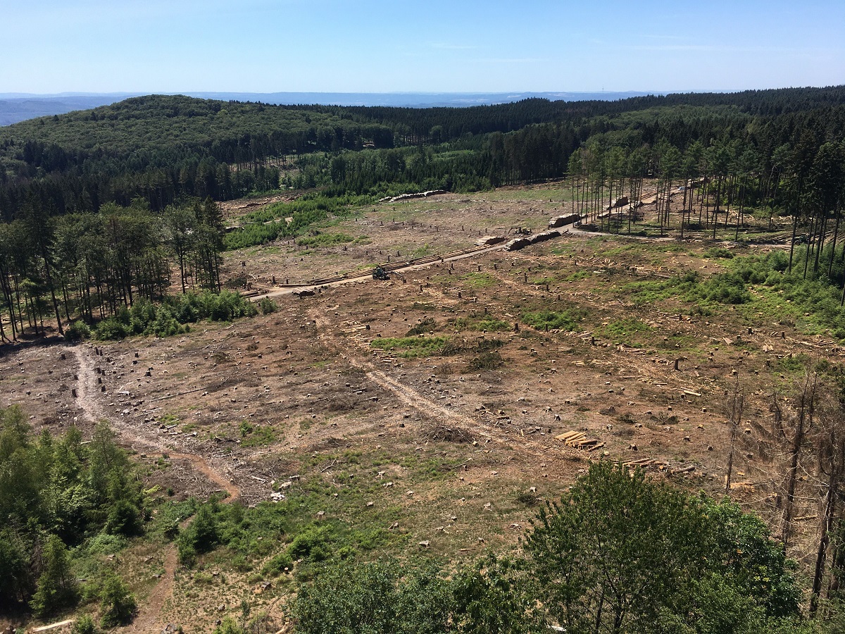 Blick vom Kppelturm. (Fotoquelle: BUND Westerwald)