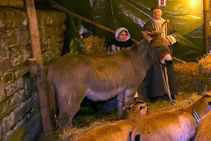 Den eigentlichen Sinn von Weihnachten immer wieder neu entdecken