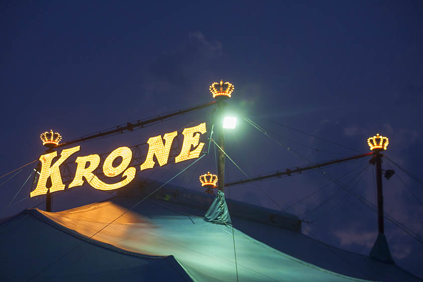 Haltungsbedingungen im Zirkus fair vergleichen