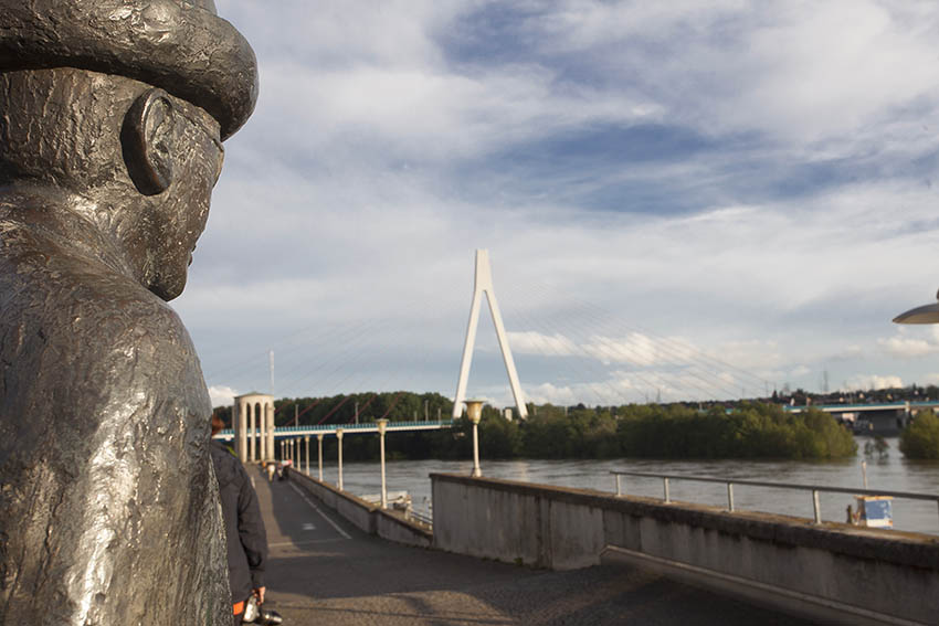 Blick vom Deich auf den Rhein. Symbolfoto: Wolfgang Tischler