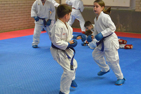 Karate: KSC Karate Team stellt 22 Sportler fr Landesauswahl