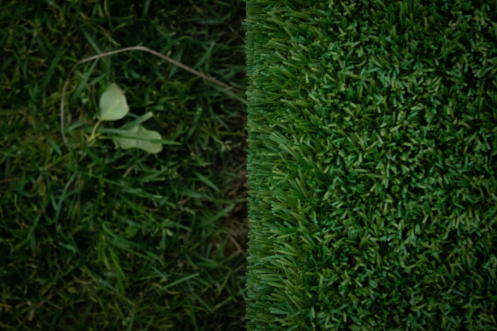 Symbolbild. (Quelle: Pixabay)