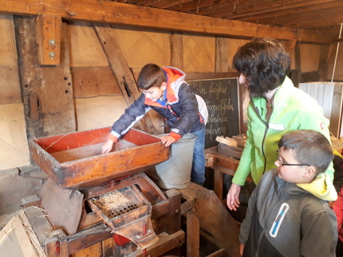 Am Familientag Ernte frher im Landschaftsmuseum in Hachenburg kommen Gro und Klein auf ihre Kosten. (Foto: Pressestelle der Kreisverwaltung)