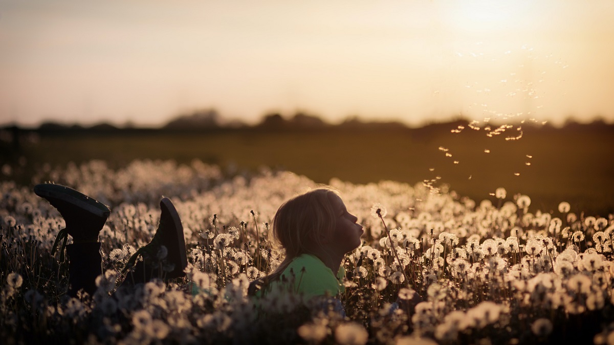 Bis zum 27. April knnen bei der Lokalen Aktionsgruppe (LAG) Westerwald-Sieg neue LEADER-Vorhaben eingereicht werden. (Foto: Johannes Plenio auf Unsplash)