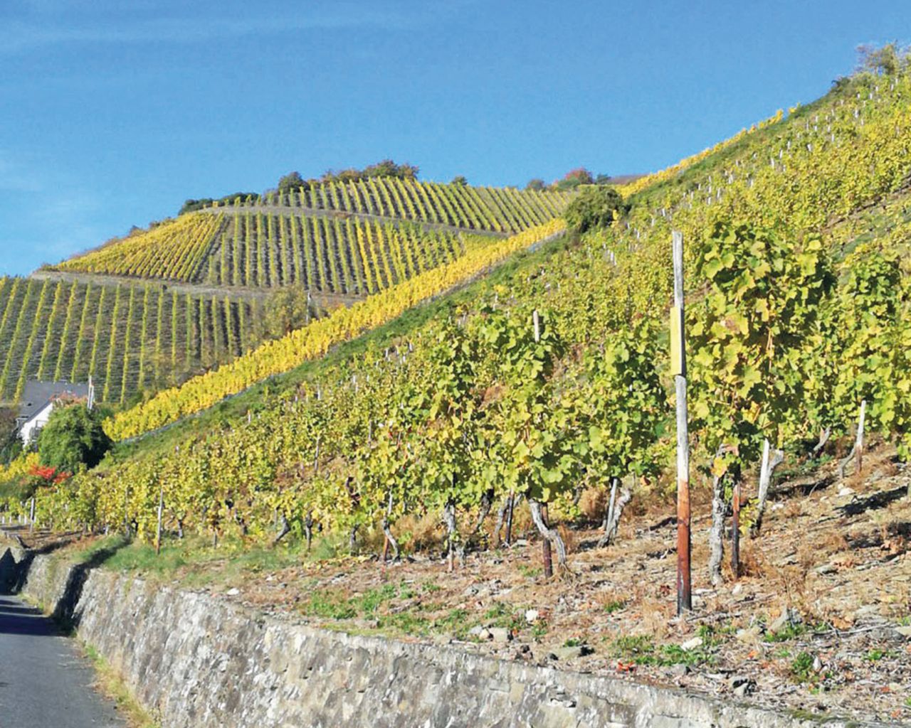 Mit der Tourist-Info zwischen Himmel und Erde wandern