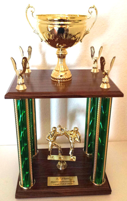 Sporting Taekwondo gewinnt den Lippe-Pokal