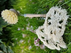 Initiative Hachenburg Plastikfrei empfiehlt Luffa und Holzbrsten