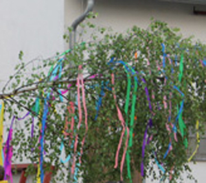 Traditionelles Maibaumaufstellen auf dem Dorfplatz