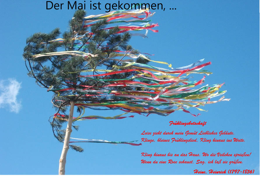 Der virtuelle Drrholzer Maibaum. Foto: pr