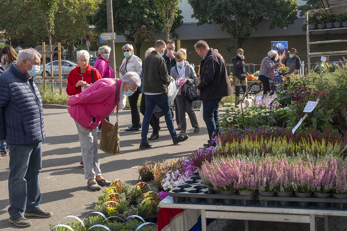 Impressionen vom Neuwieder Markt von Wolfgang Tischler