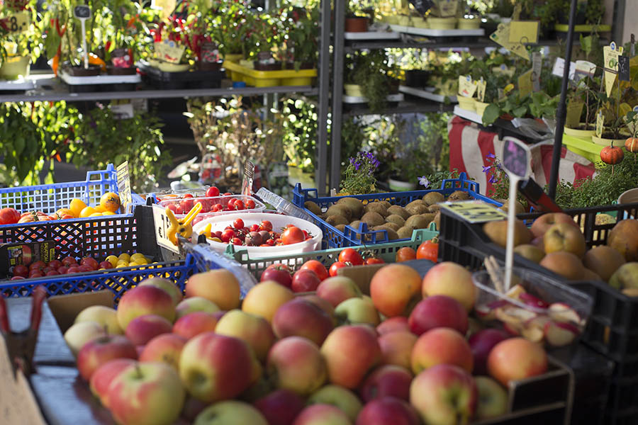 Neuwieder Markttage bringen den Duft des Herbstes