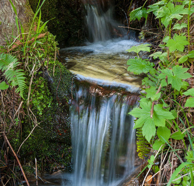 Der Westerwald-Verein im Buchfinkenland ldt ein zu einer Wasserwanderung. Das Thema: Unser Wasser  von der Quelle bis zur Klranlage. (Foto: Archiv WW-Kurier/Alan McFarland)