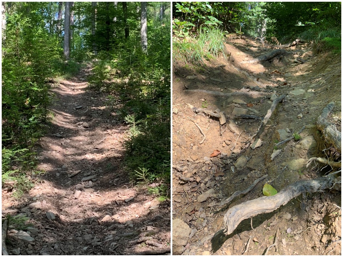 Durch Motocrossfahrer angerichtete Schden. (Fotos: Forstamt Altenkirchen) 