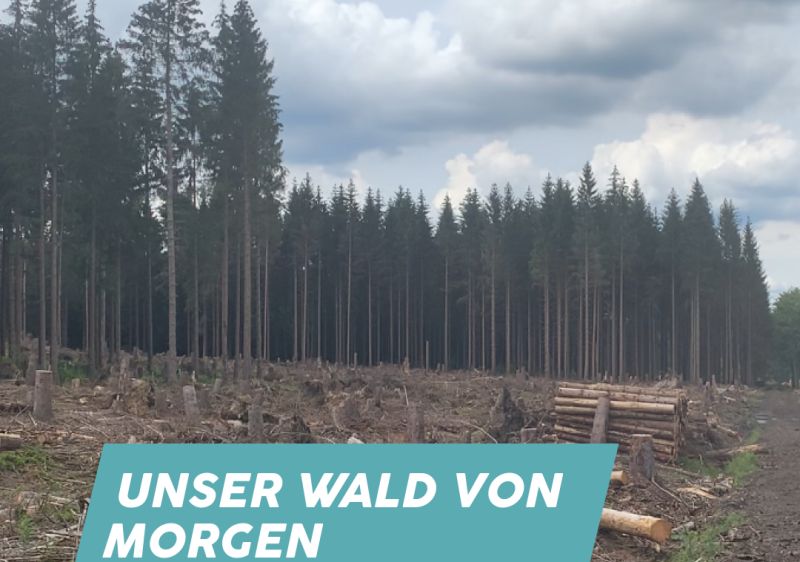 Mittwoch Digtal: Unser Wald von morgen