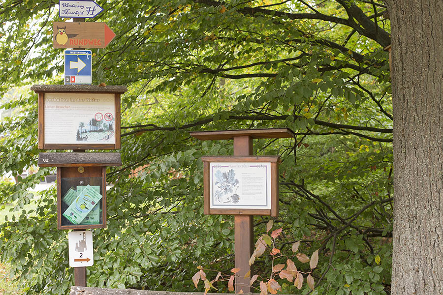 Interaktive Herbstwanderung auf dem Drrholzer Naturerlebnispfad