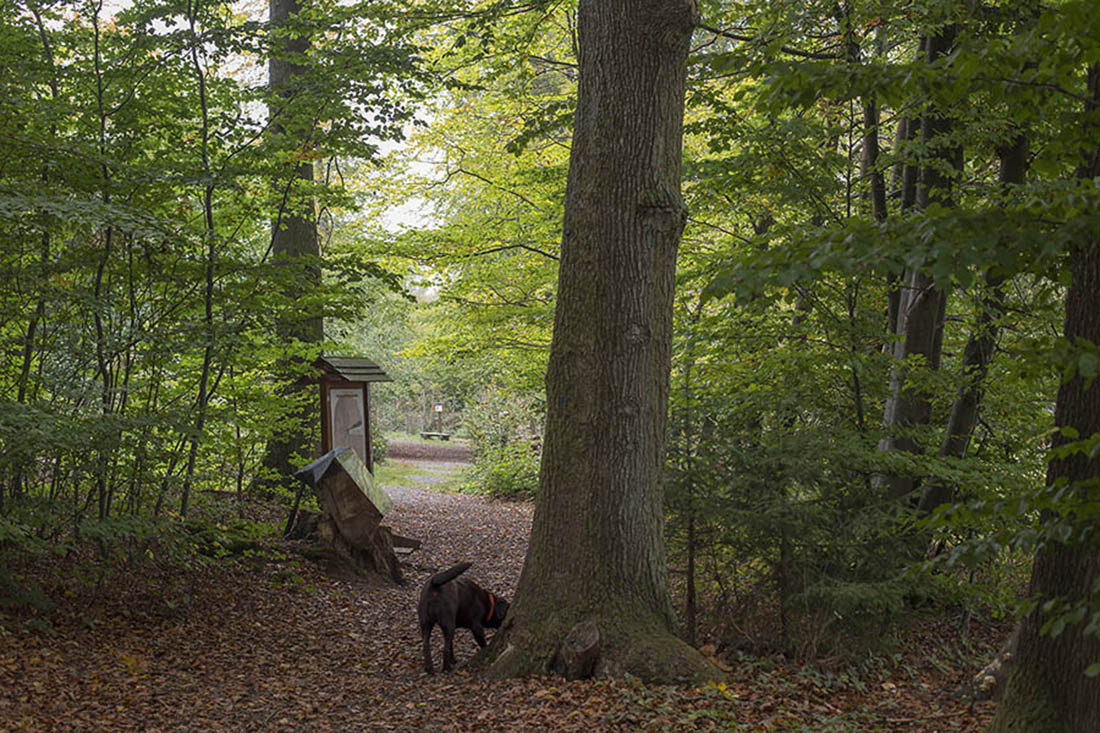 AG Naturschutz - Basteln fr Kinder am Naturerlebnispfad Daufenbach