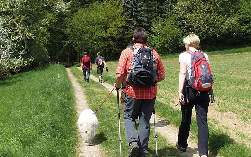 Naturpark Rhein-Westerwald bietet wieder Veranstaltung an