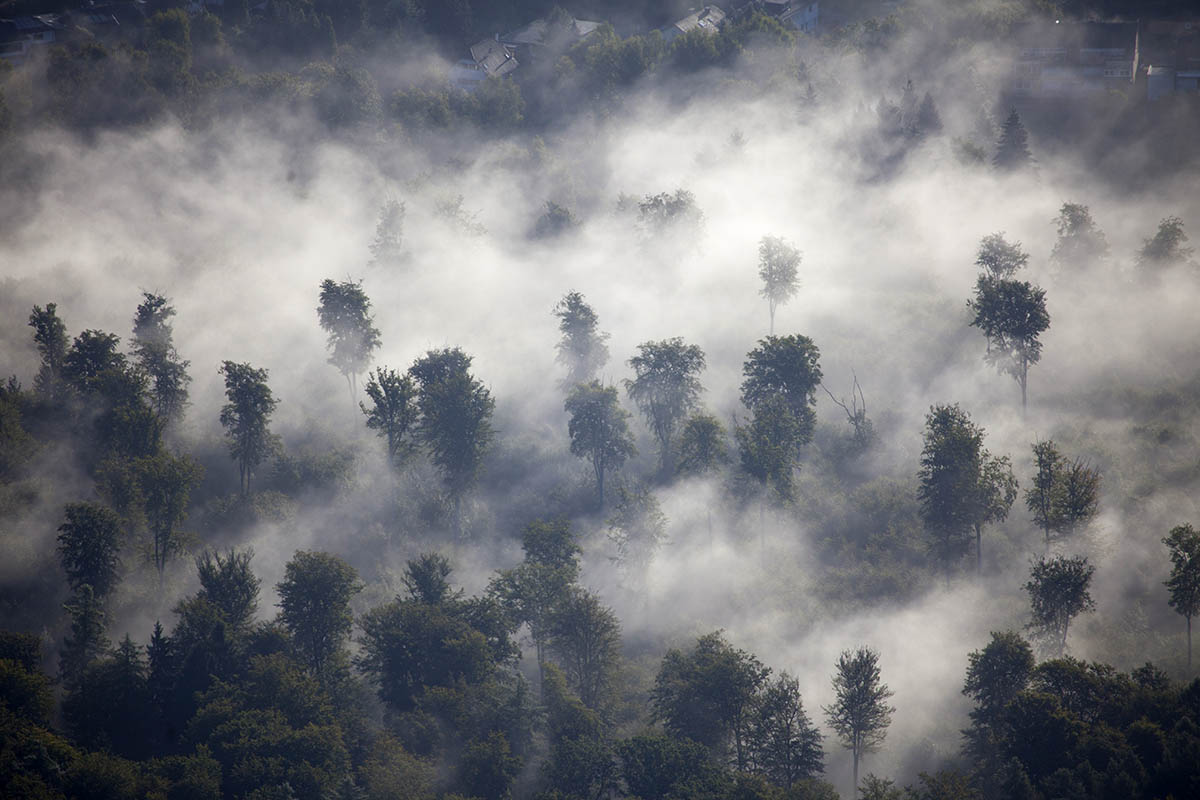 Westerwaldwetter: Frhlingshafter Jahreswechsel