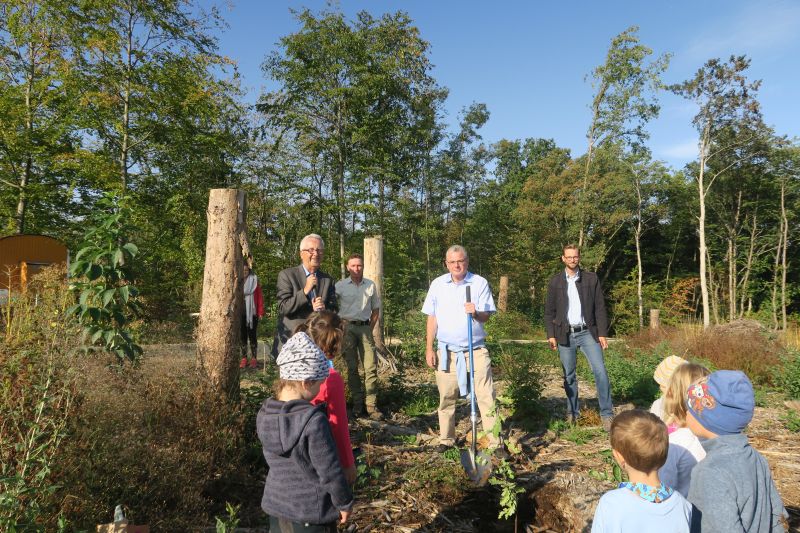Dr. Andreas Nick pflanzt mit Kita-Kindern Setzlinge im Wald 