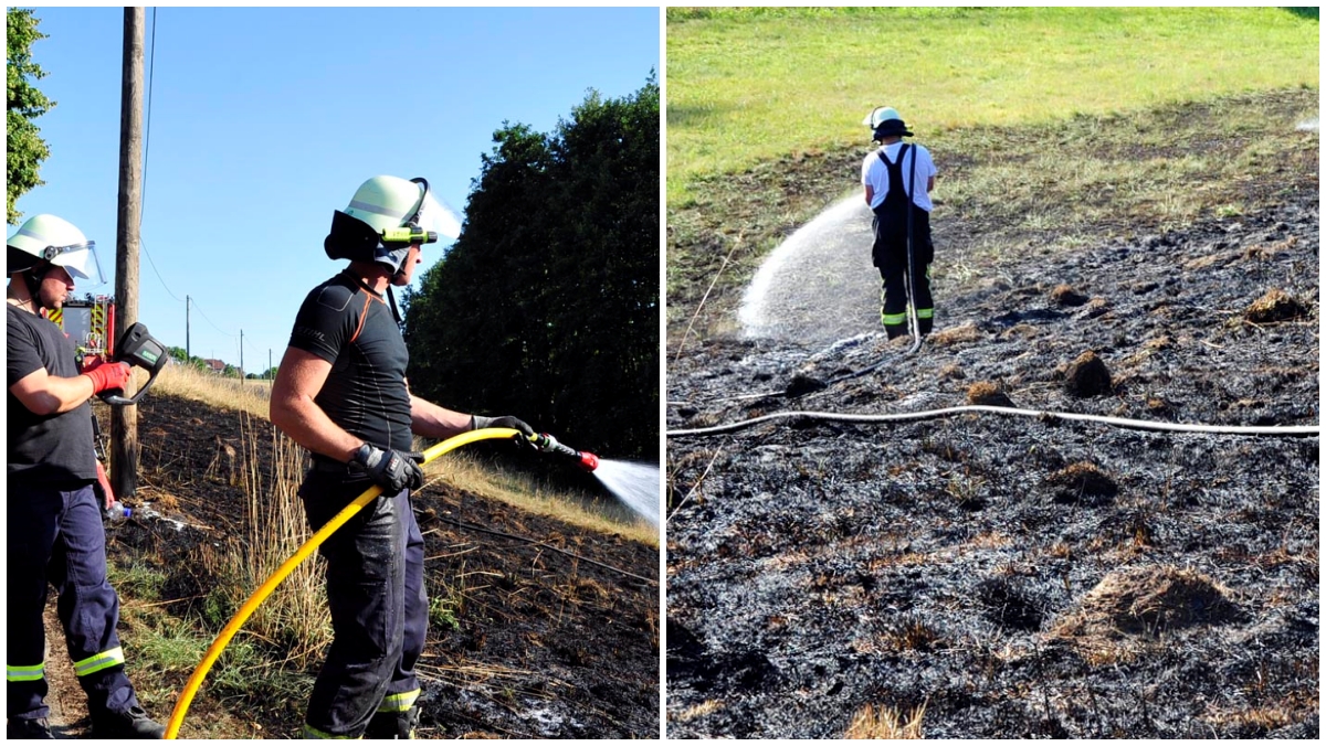 Wiese zwischen Niederhausen und Hohe Grete brannte - Feuerwehr griff schnell ein
