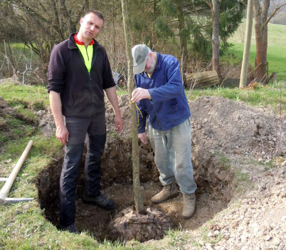 Vorstandsmitglied Frank Etscheid pflanzt eine Geburtstagseiche bei Willibert Prangenberg. Foto: Privat