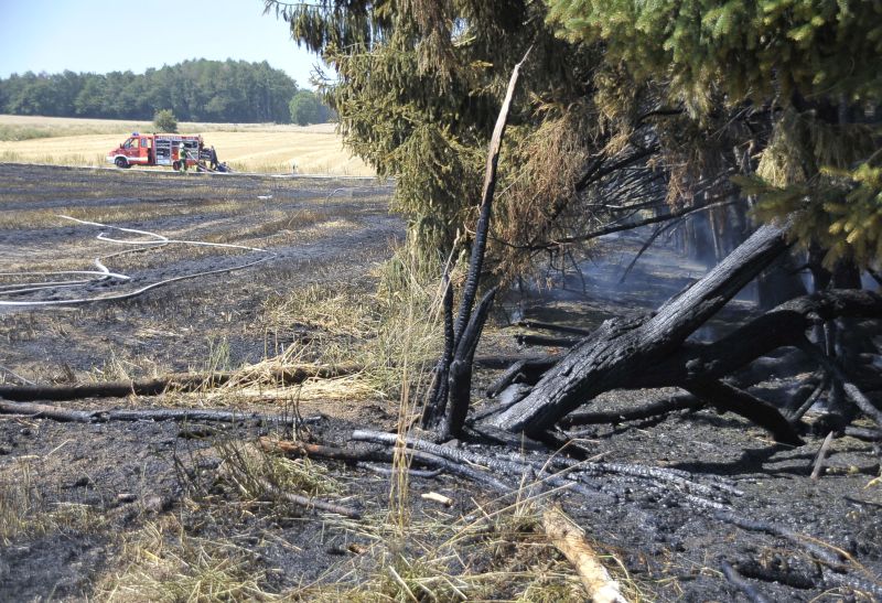 Feuerwehrleute m Einsatz gegen den Flchenbrand. Fotos: Klaus-Dieter Hring