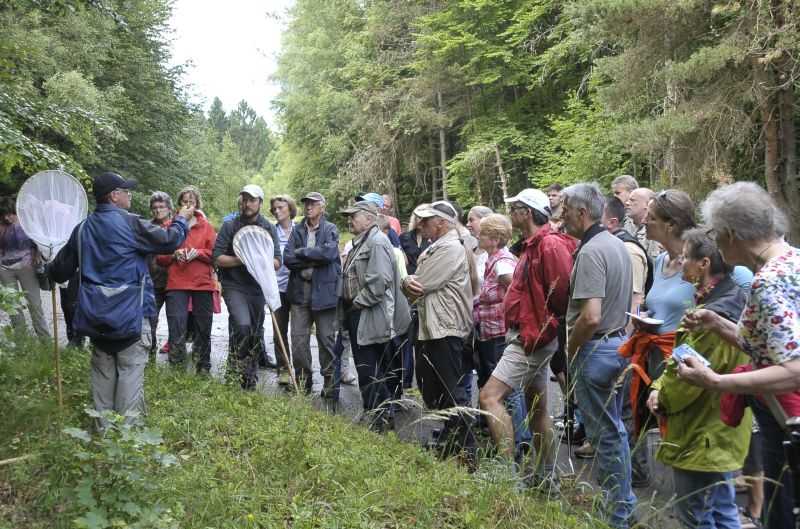 Das b-05-Gelnde ist ein Juwel auf der Montabaurer Hhe