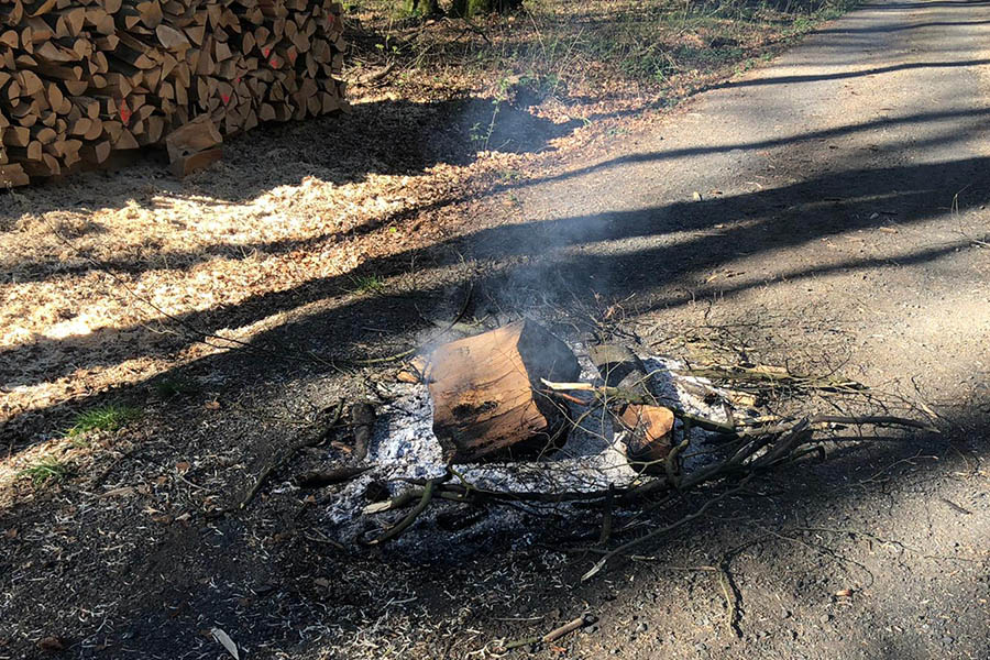 Lagerfeuer im Wald bei Hilgert entfacht