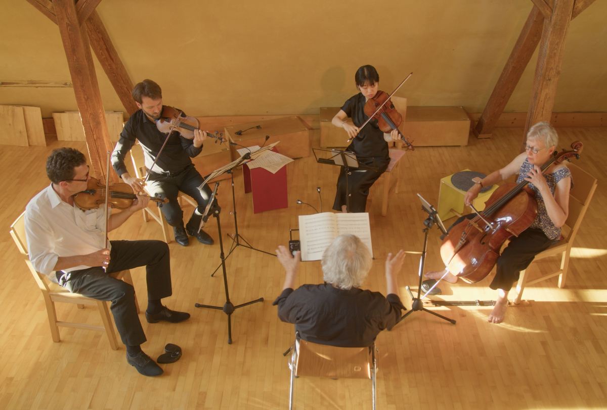 Streicher dominieren das n�chste Konzert beim �Open-Arts-Festival�. (Foto: privat) 