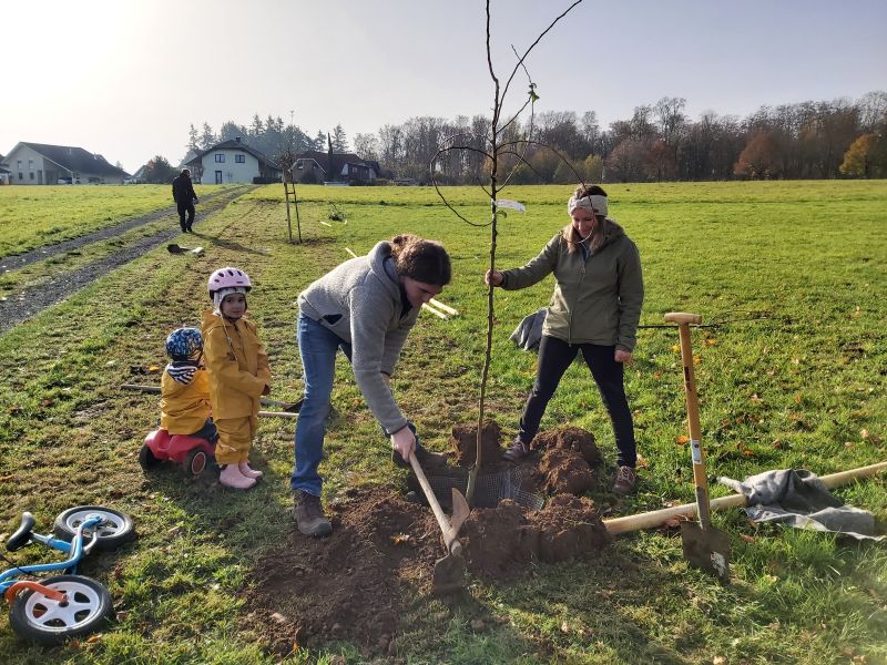 Der Anfang der Streuobstwiese ist gemacht. Fotos: privat