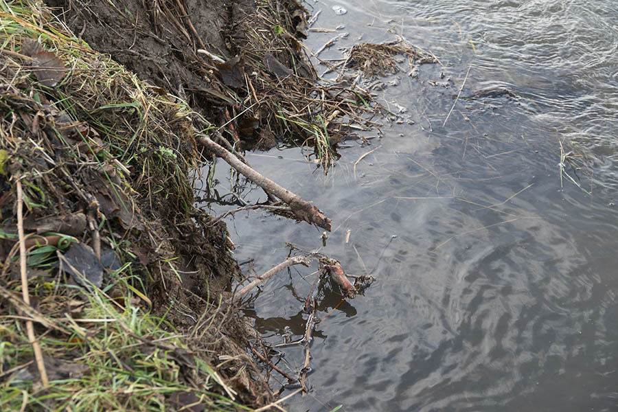 Umweltfrevel am lsbach  Vegetation entfernt, Wassertempo erhht