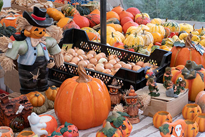 Bunte Herbstdeko und vieles andere mehr sind auf dem Oktobermarkt zu entdecken. Foto: 1alles