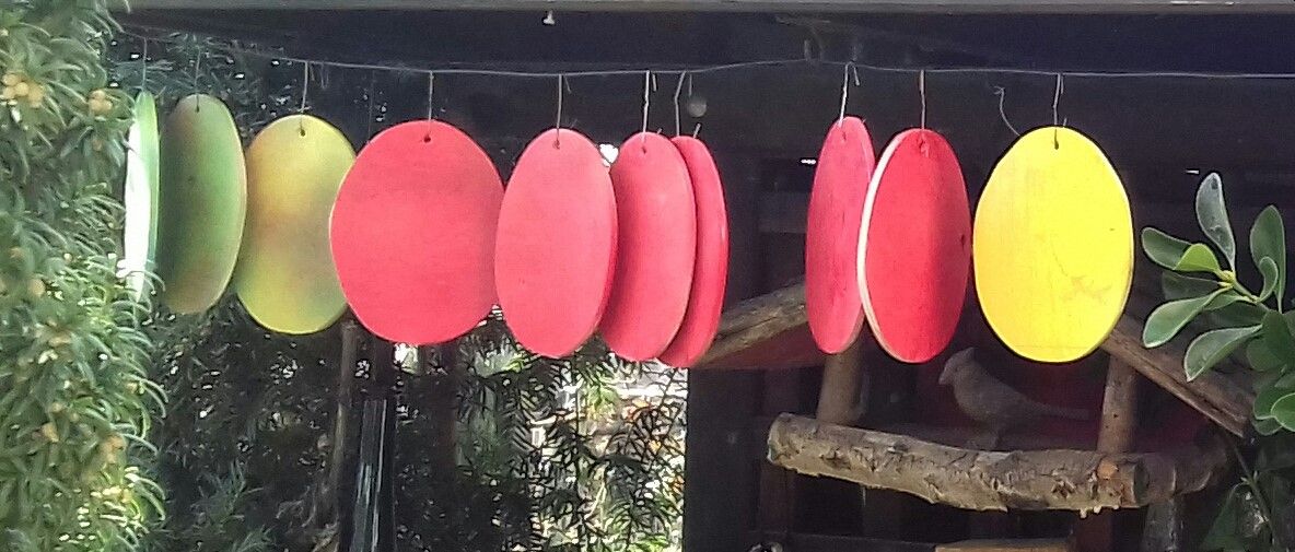 Solche Holzostereier werden versteckt. Foto: VNB
