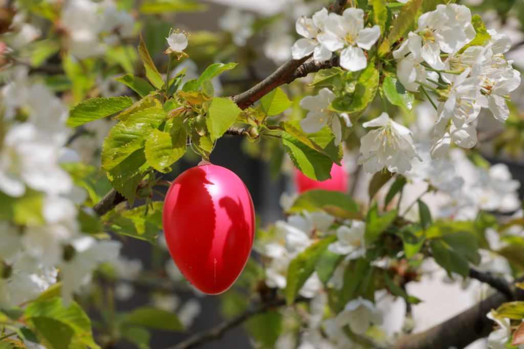 Rotes Osterei an einem Osterbaum. Foto: Rolf Oeser/ekhn