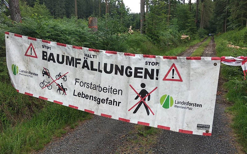 Borkenkfer verndern das Landschaftsbild 