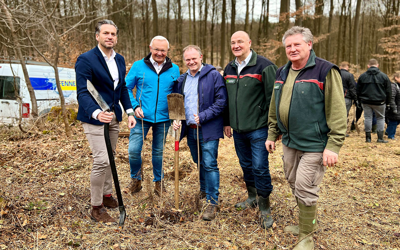 Nahe Monrepos wurden 200 junge Bergahorn-Bume gepflanzt